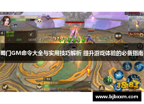 蜀门GM命令大全与实用技巧解析 提升游戏体验的必备指南