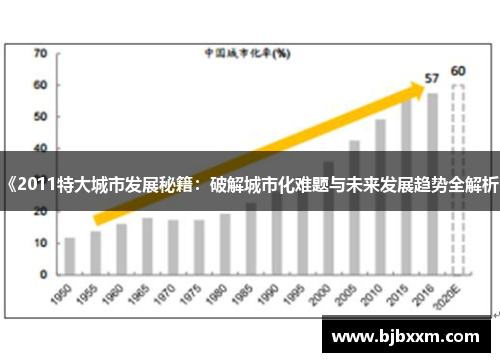 《2011特大城市发展秘籍：破解城市化难题与未来发展趋势全解析》